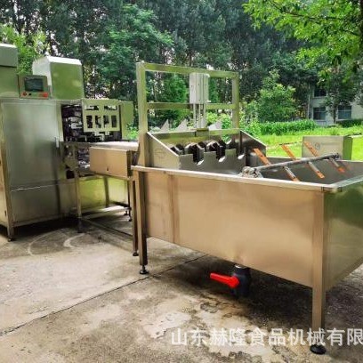 商用大型果蔬去皮去核机器苹果去皮机清洗去皮去核一体机