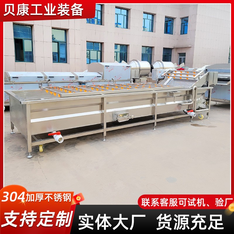 豆芽清洗机 多功能全自动葡萄清洗设备 不锈钢气泡清洗流水线图2