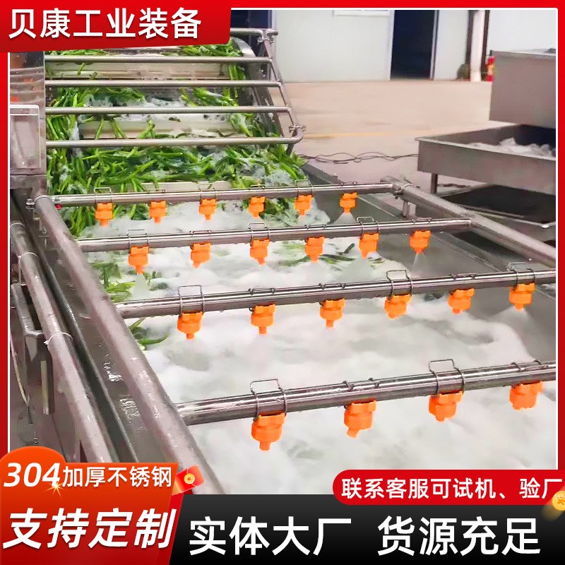 豆芽清洗机 多功能全自动葡萄清洗设备 不锈钢气泡清洗流水线图4