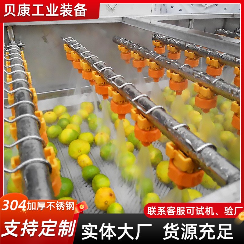 草莓枇杷果气泡清洗设备 石榴清洗机 全自动不锈钢果蔬清洗机