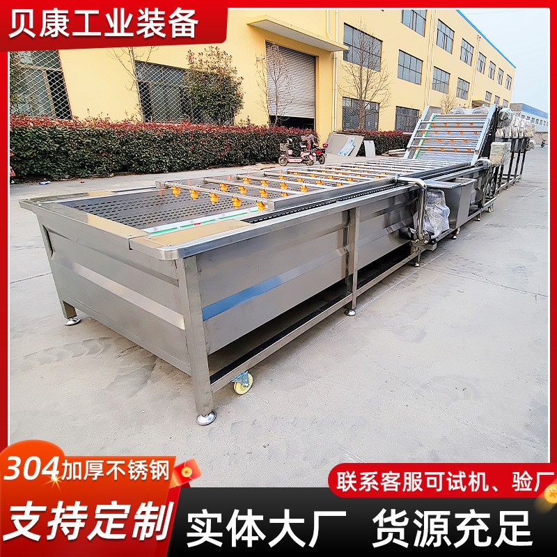 草莓枇杷果气泡清洗设备 石榴清洗机 全自动不锈钢果蔬清洗机图2