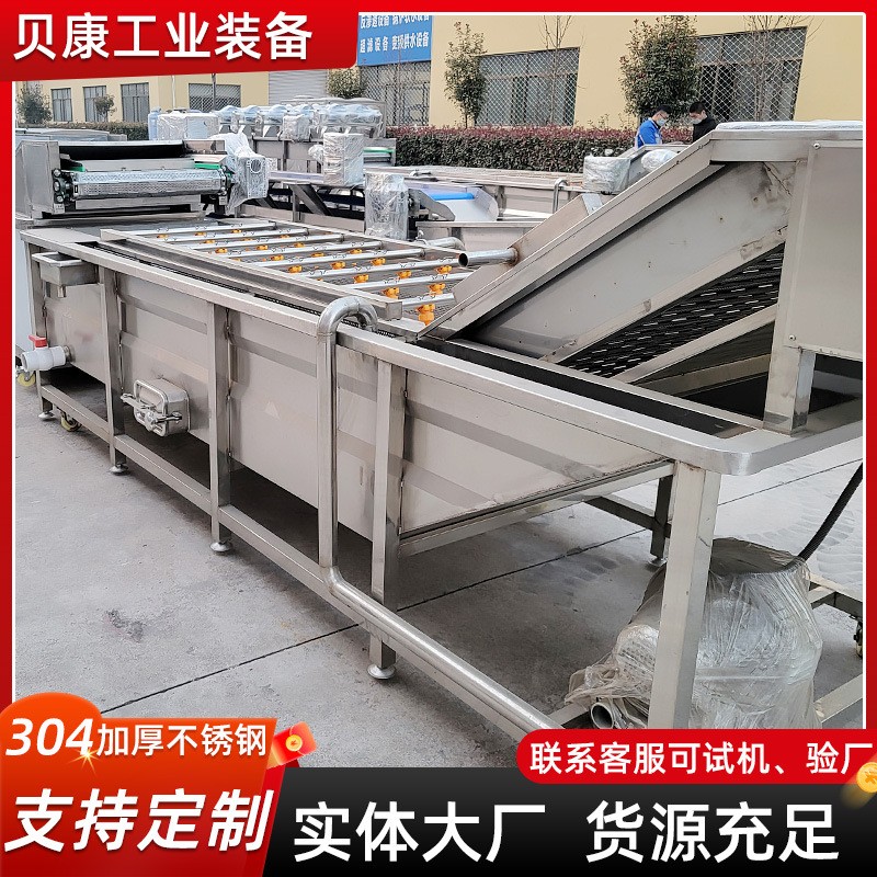 草莓枇杷果气泡清洗设备 石榴清洗机 全自动不锈钢果蔬清洗机图4