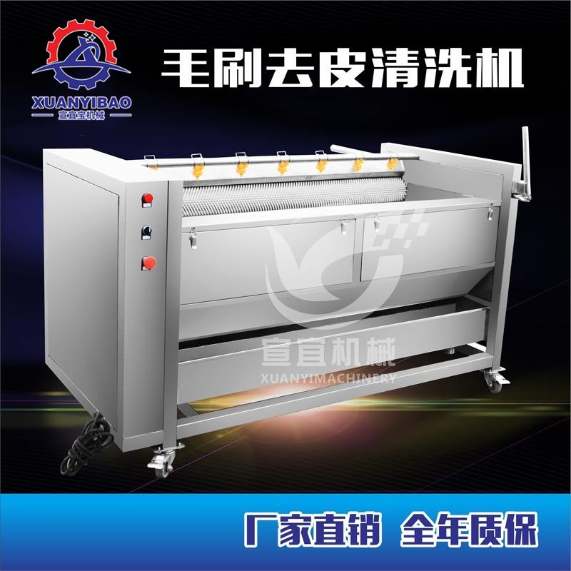 知母清洗机 全自动中草药清洗机 毛辊式清洗机毛刷清洗机图1