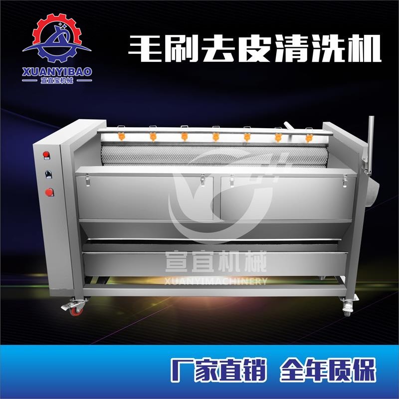 知母清洗机 全自动中草药清洗机 毛辊式清洗机毛刷清洗机图2