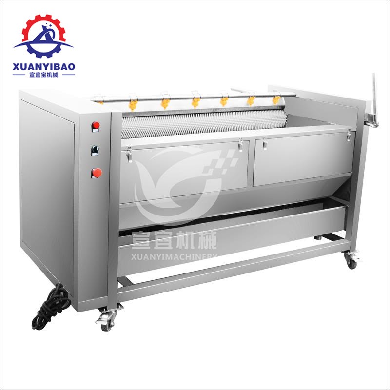 知母清洗机 全自动中草药清洗机 毛辊式清洗机毛刷清洗机图5