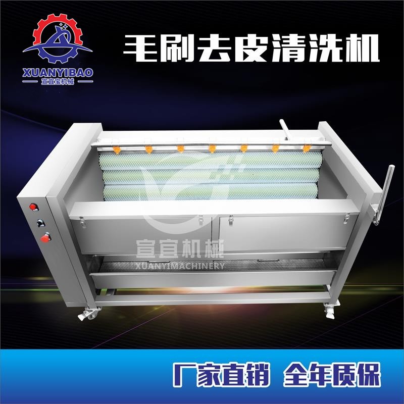 知母清洗机 全自动中草药清洗机 毛辊式清洗机毛刷清洗机图4