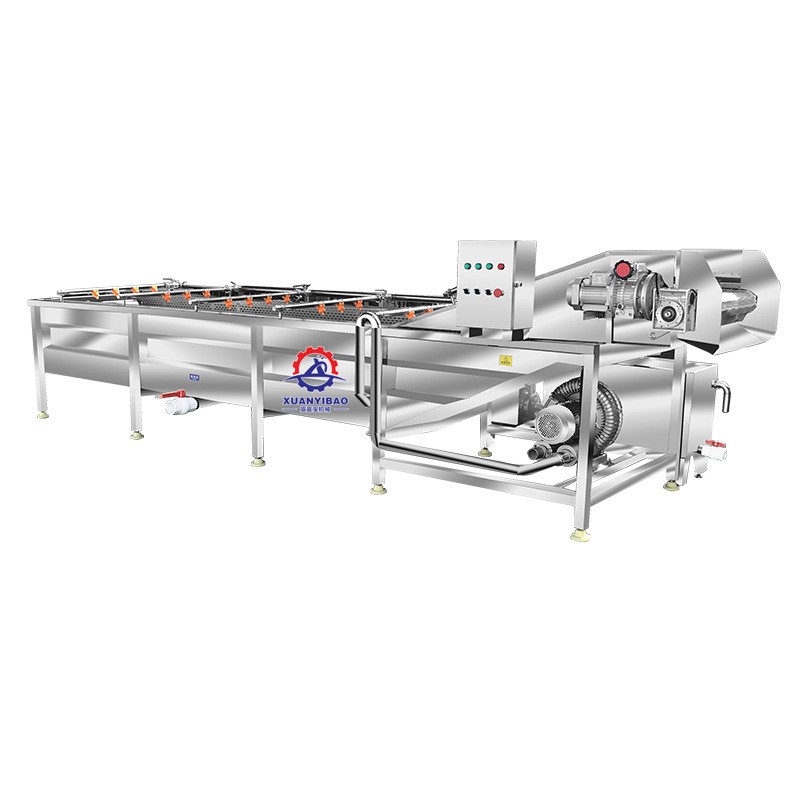 厂家供应全自动果蔬清洗机 胡桃青皮清洗机 气泡冲浪式榛子清洗机图5