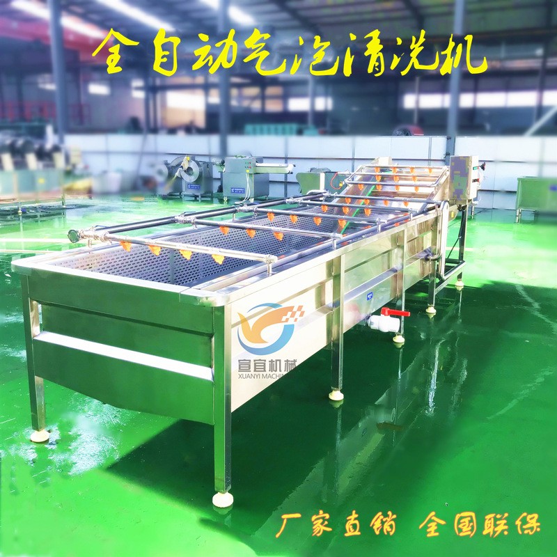 厂家供应全自动果蔬清洗机 胡桃青皮清洗机 气泡冲浪式榛子清洗机图2