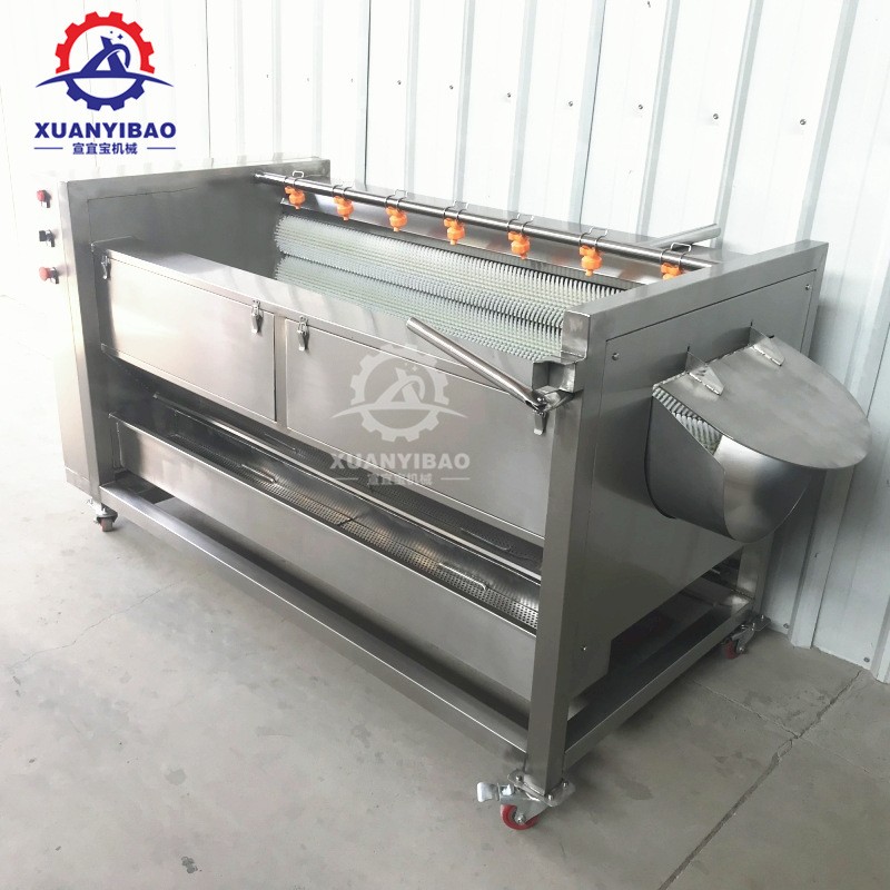 小型猪头清洗机 专业洗猪蹄羊蹄羊头牛头毛刷清洗机 猪肘子清洗机