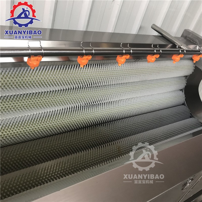 小型猪头清洗机 专业洗猪蹄羊蹄羊头牛头毛刷清洗机 猪肘子清洗机图3