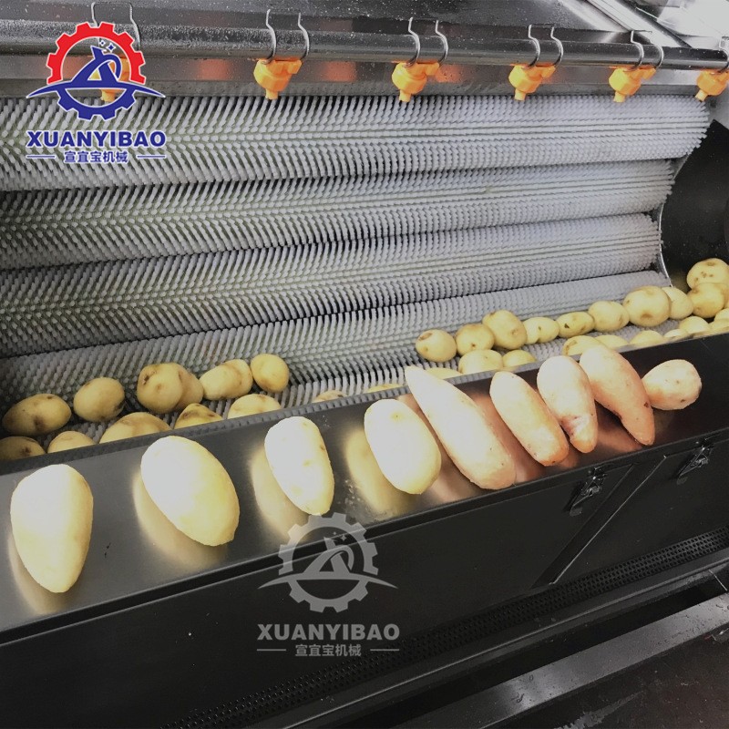 小型猪头清洗机 专业洗猪蹄羊蹄羊头牛头毛刷清洗机 猪肘子清洗机图2