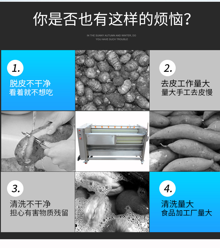 毛刷去皮清洗机_02