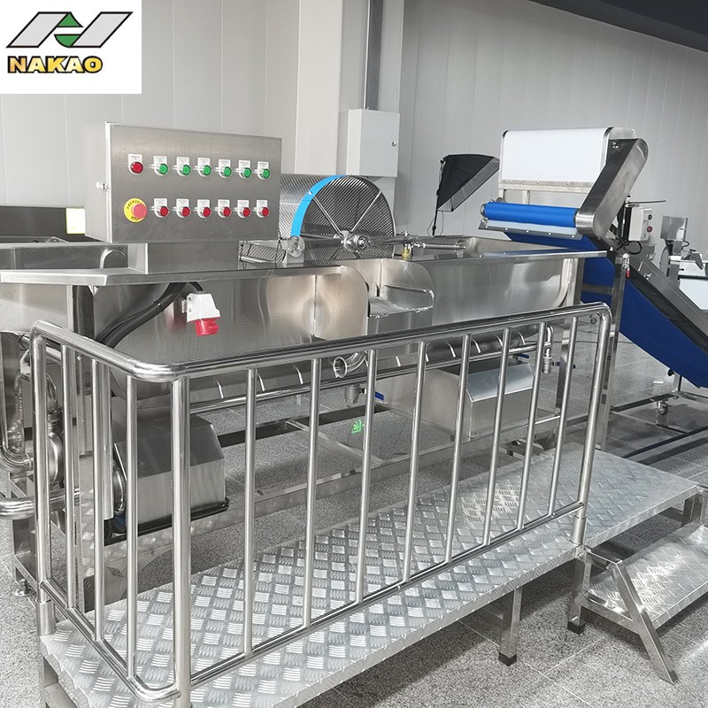 山东涡流清洗流水线蔬菜清洗生产线涡流式洗菜机臭氧清洗流水线图2