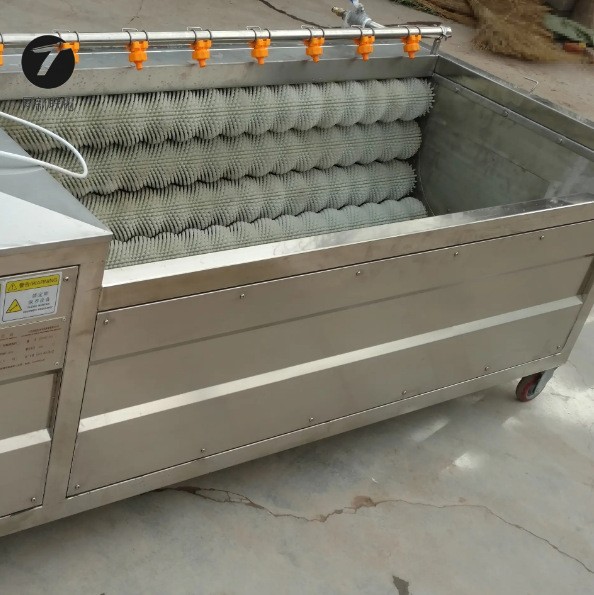 商用洗牡蛎生蚝的机器莴苣去皮机设备供应药材毛棍清洗机图4