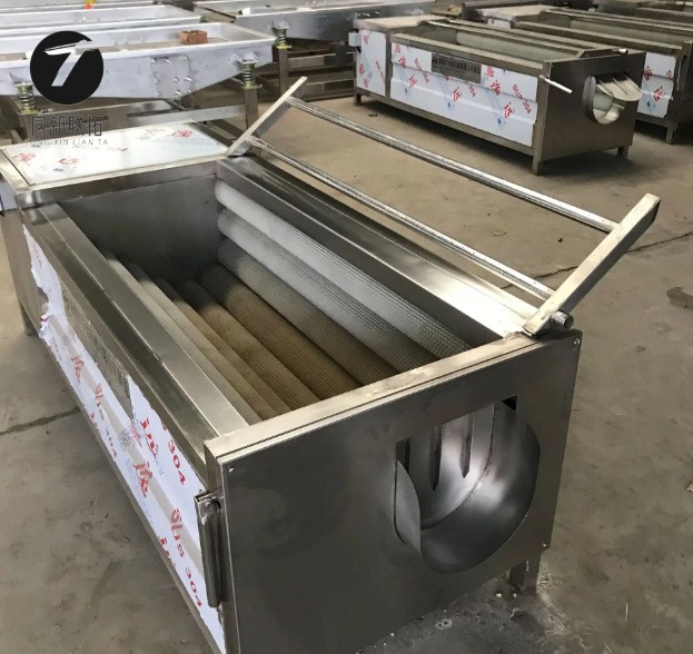 商用洗牡蛎生蚝的机器莴苣去皮机设备供应药材毛棍清洗机图3