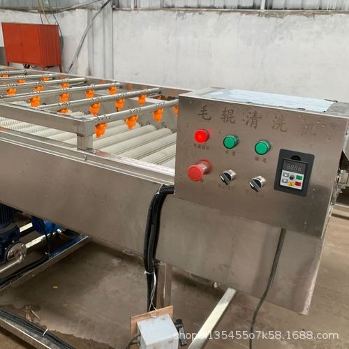 大型海蛎子清洗机 平行式毛辊清洗机 多功能毛辊清洗流水线设备