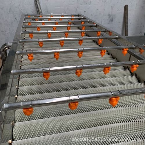 大型海蛎子清洗机 平行式毛辊清洗机 多功能毛辊清洗流水线设备图2