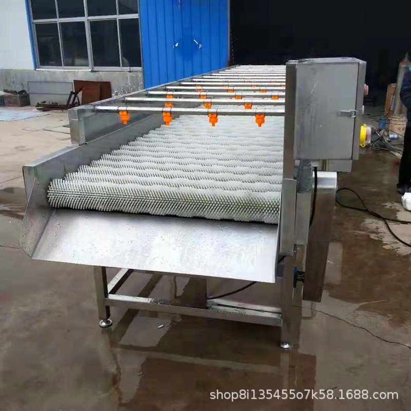 大型海蛎子清洗机 平行式毛辊清洗机 多功能毛辊清洗流水线设备图4