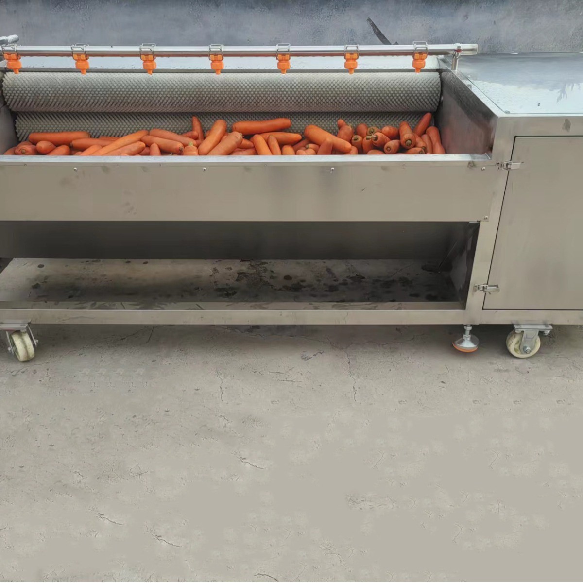 全自动毛辊清洗机不锈钢海虹海蛎子清洗机根茎类中药材清洗去泥机图4