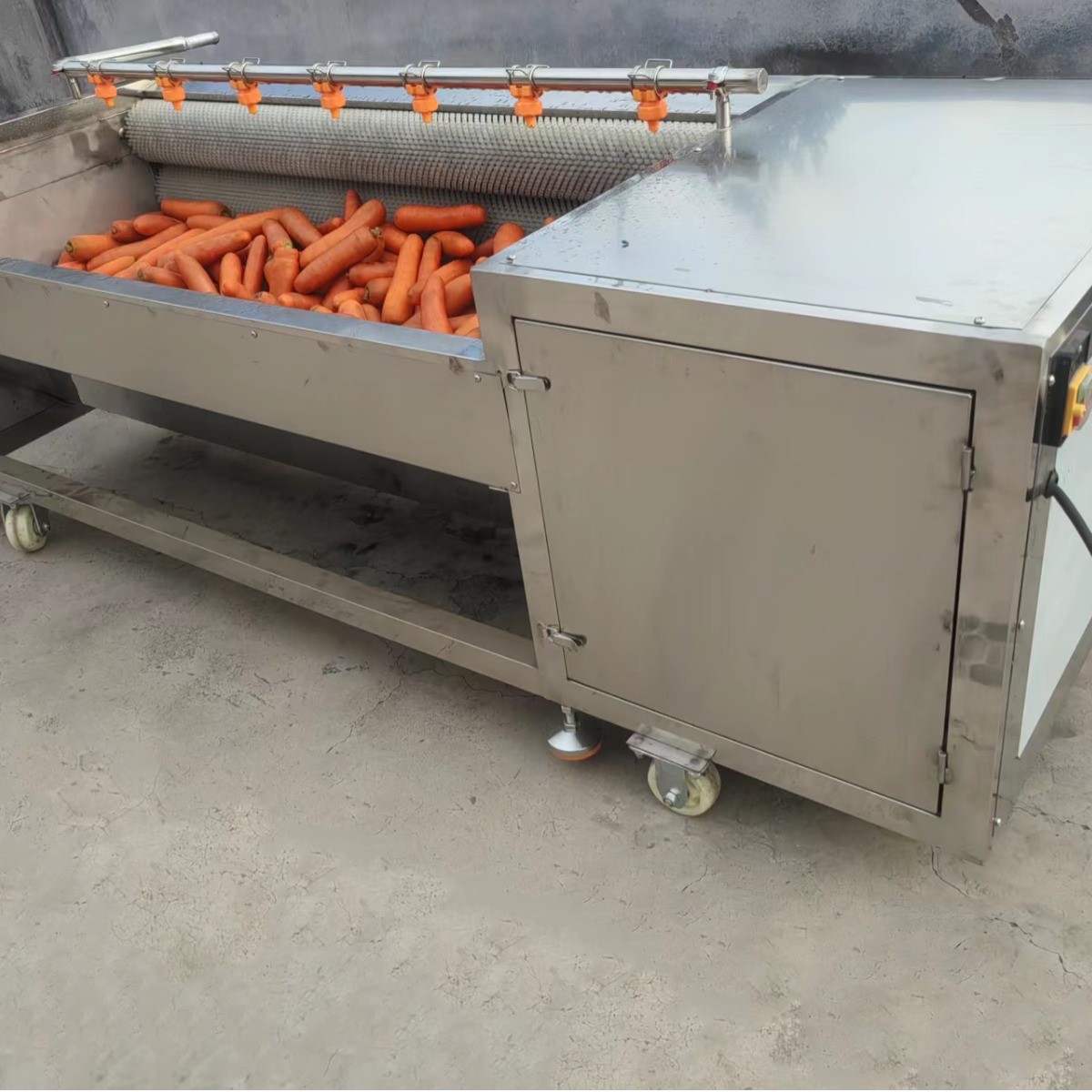 全自动毛辊清洗机不锈钢海虹海蛎子清洗机根茎类中药材清洗去泥机图3