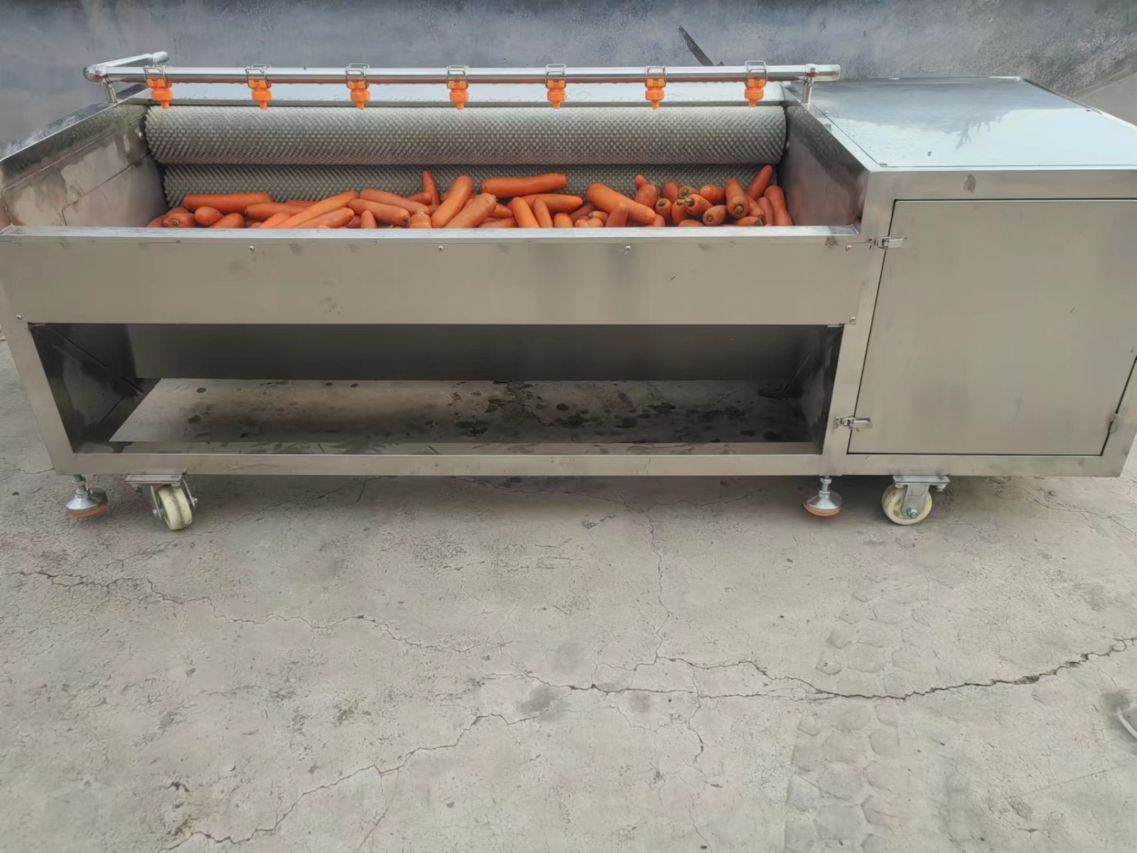 全自动毛辊清洗机厂家猪蹄猪头毛刷清洗机羊头马蹄羊蹄清洗设备图4