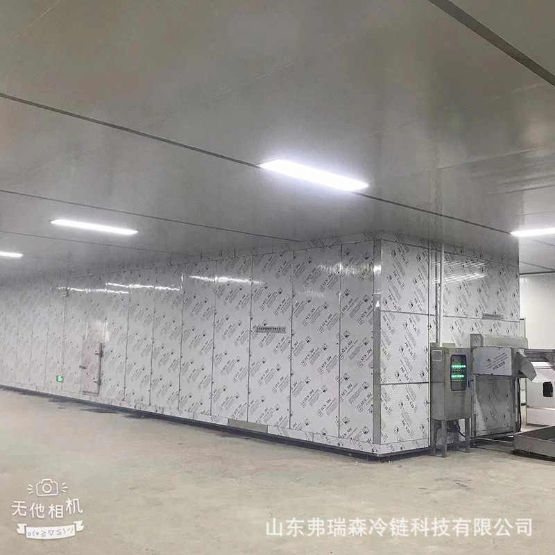 青红椒丁速冻加工设备 秋刀鱼八爪鱼连续式速冻机 源头厂家图3