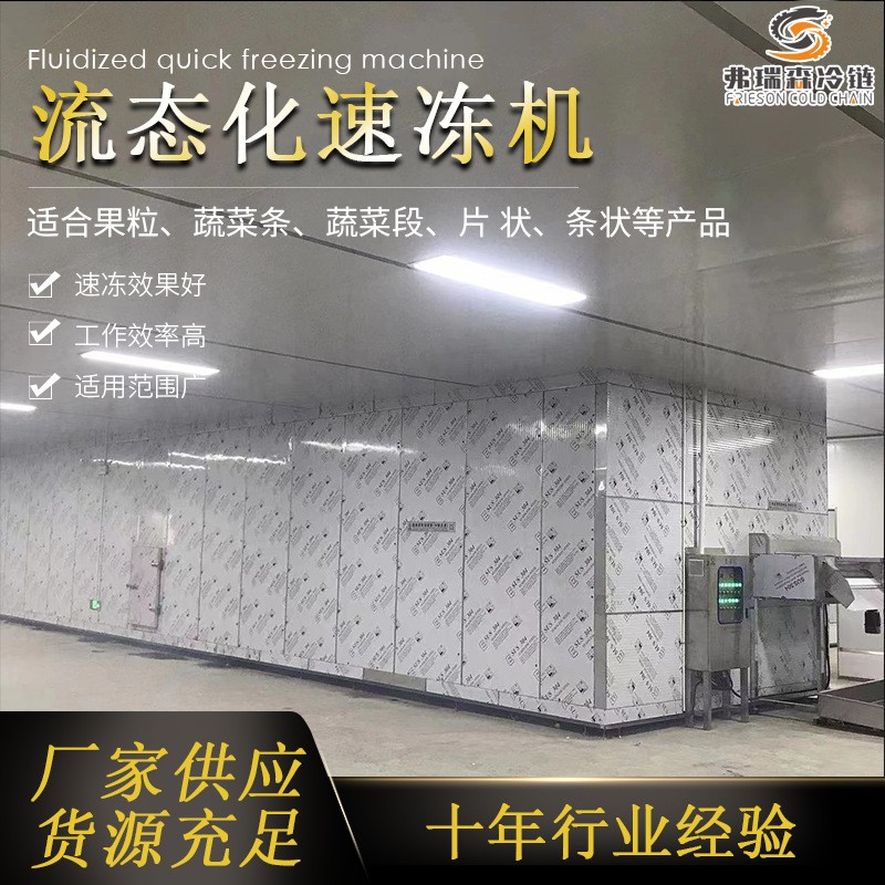 速冻西兰花加工设备流水线 花椰菜速冻机 食品连续式速冻机