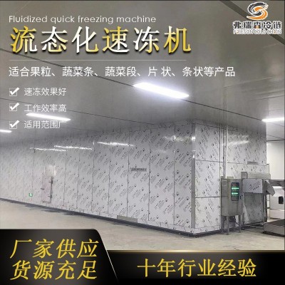 速冻西兰花加工设备流水线 花椰菜速冻机 食品连续式速冻机