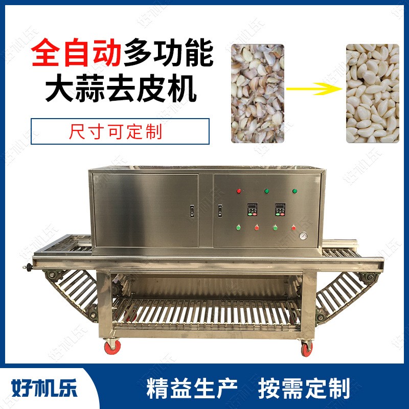 厂家供应 好机乐智能 链式气旋大蒜脱皮去皮分瓣机 大蒜剥皮机图2