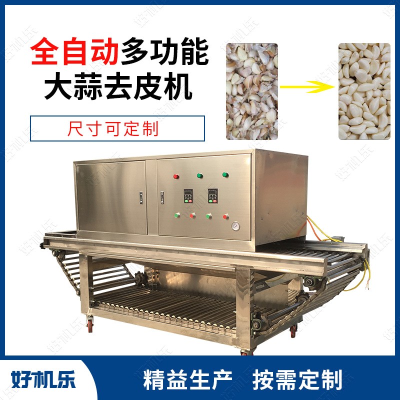 厂家供应 好机乐智能 链式气旋大蒜脱皮去皮分瓣机 大蒜剥皮机图3