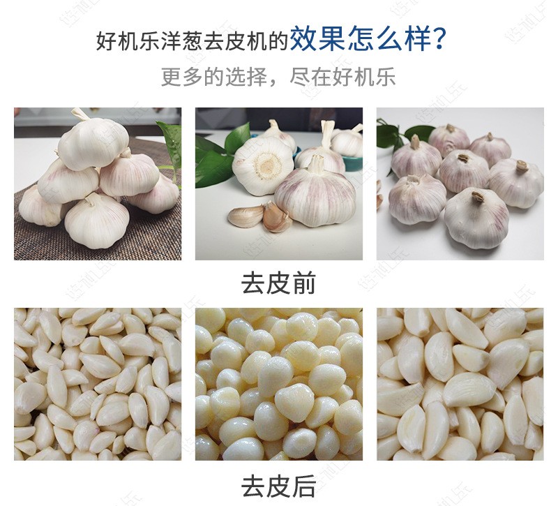 厂家供应 好机乐智能 链式气旋大蒜脱皮去皮分瓣机 大蒜剥皮机图4