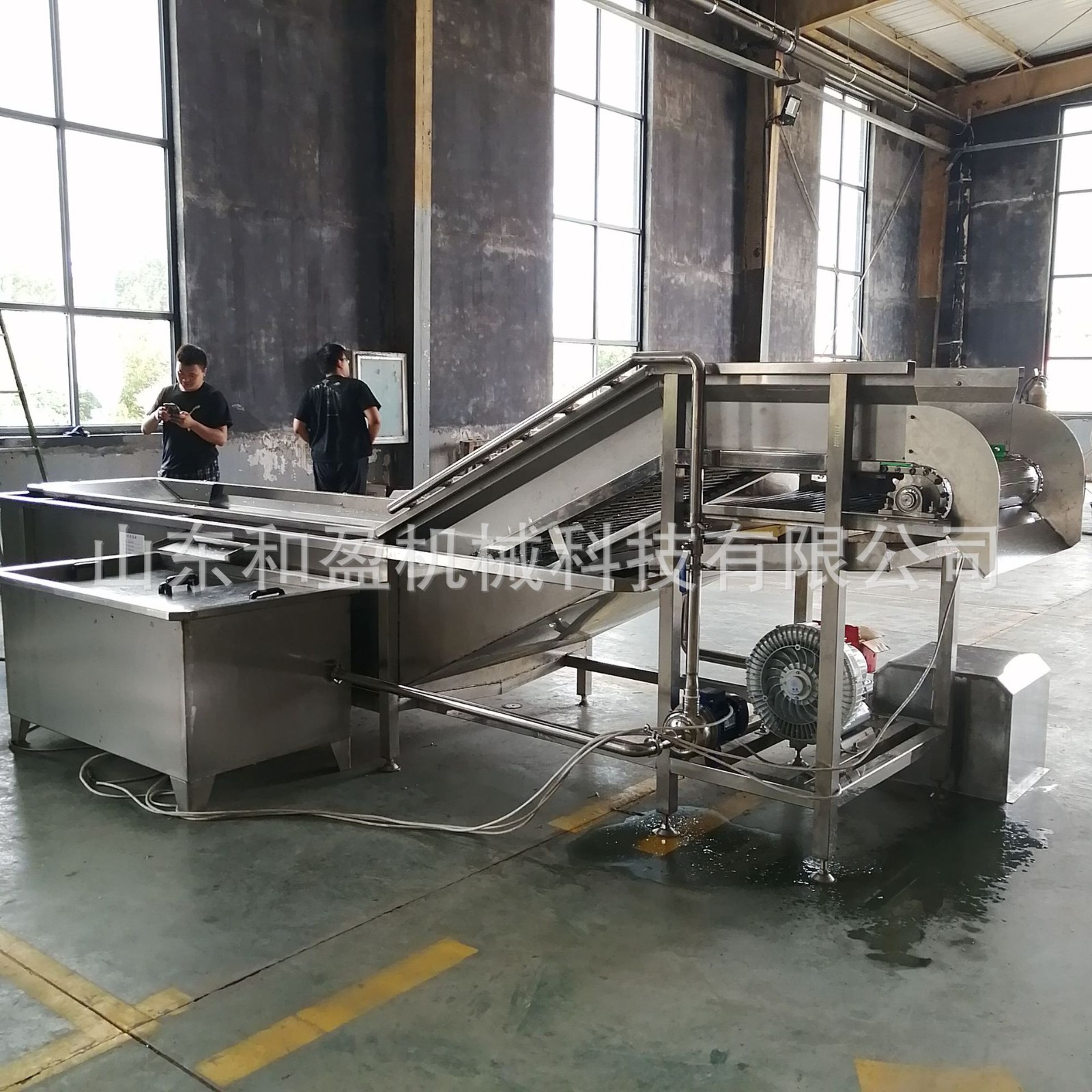 果蔬气泡清洗机 葡萄连续式气泡清洗机 葡萄干清洗设备包邮发货图4