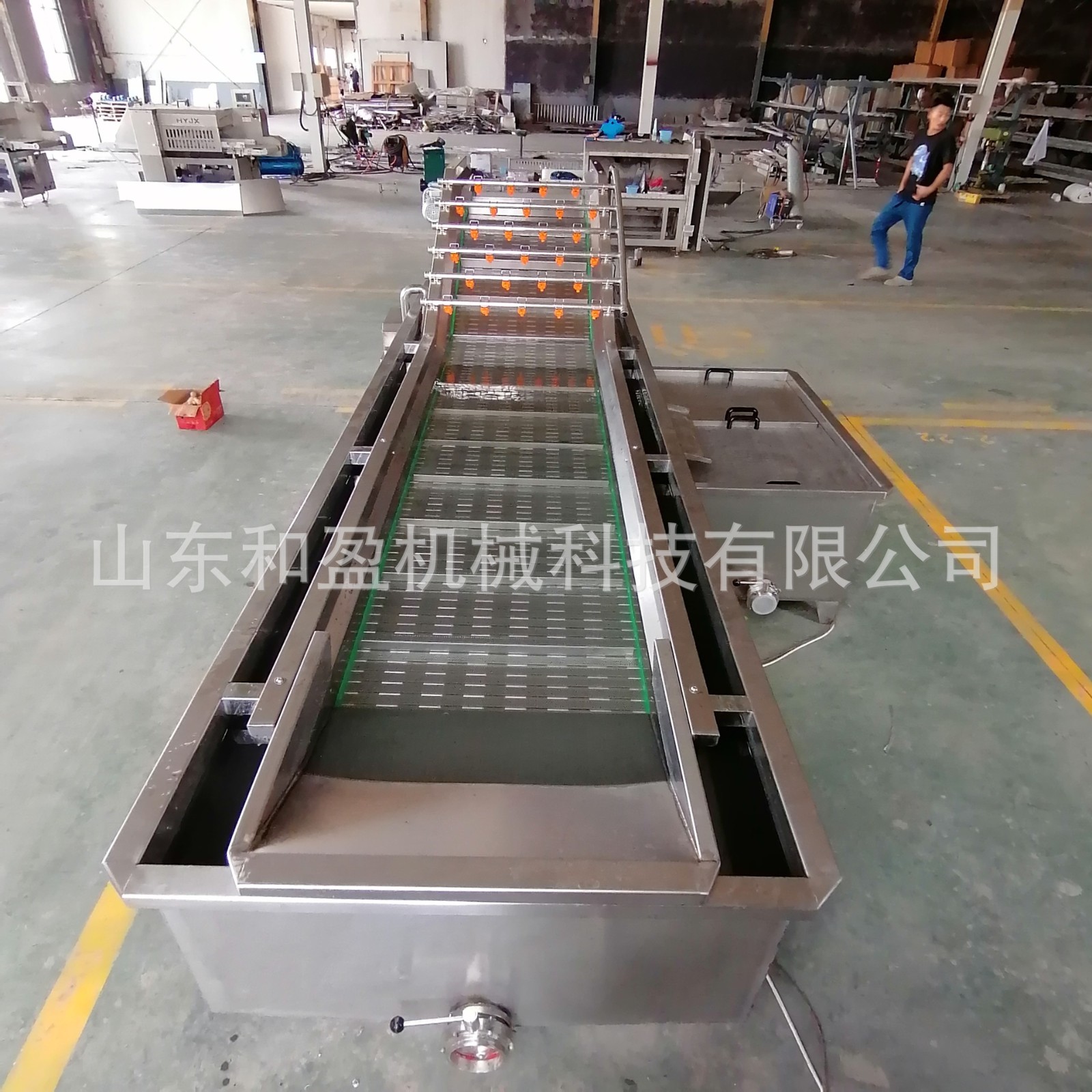 荠菜气泡清洗机 大型全自动高压喷淋气泡清洗机 野菜气泡清洗设备图2