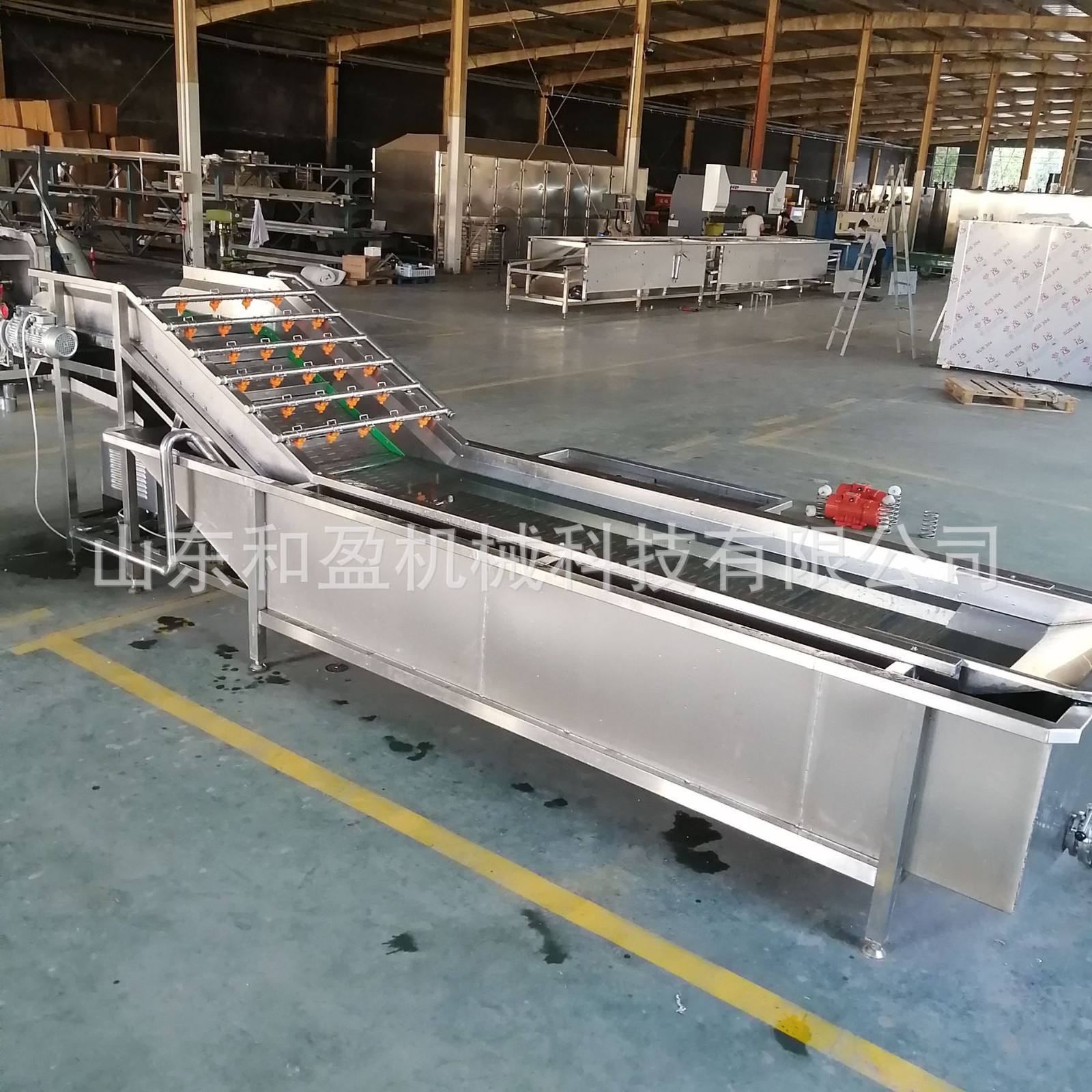 荠菜气泡清洗机 大型全自动高压喷淋气泡清洗机 野菜气泡清洗设备图4