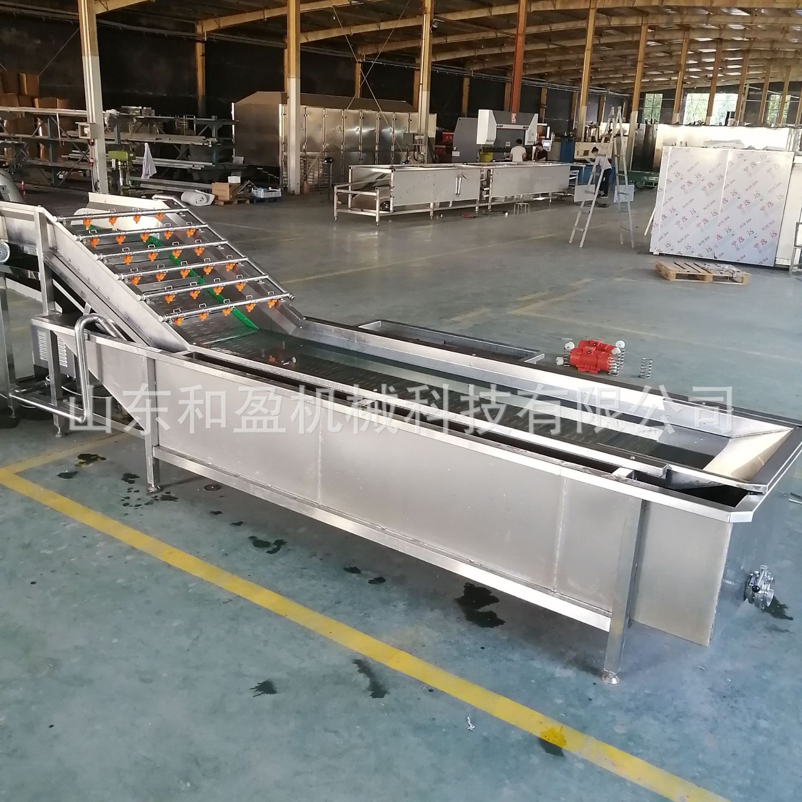 小龙虾气泡清洗机 全自动喷淋式清洗设备 大虾气泡清洗机图3