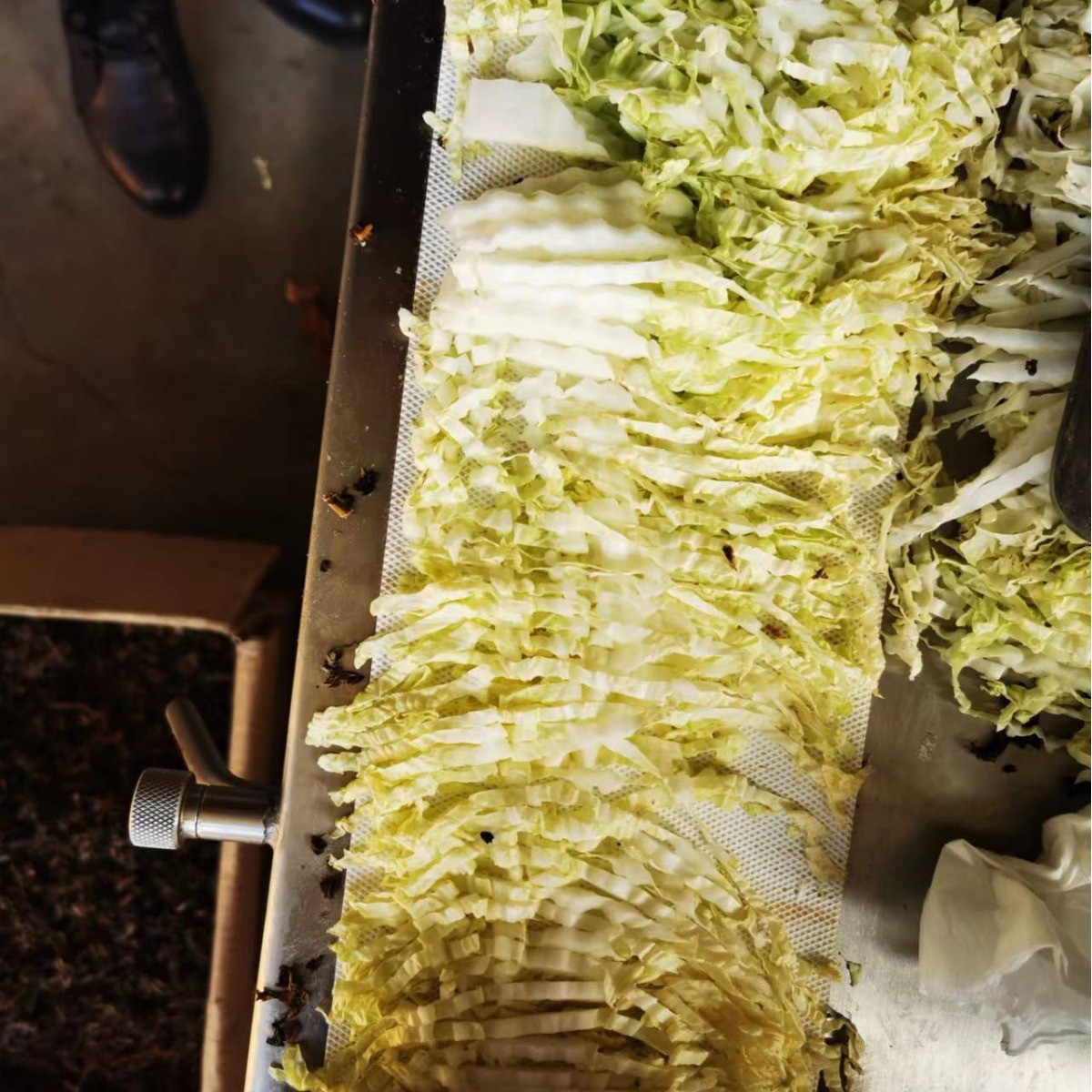 商用多功能切菜机中央厨房净菜加工设备水果蔬菜切丝切片切丁切条图4