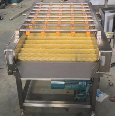 海蛎子毛刷清洗机 白萝卜平行毛辊清洗机 牡蛎毛辊清洗设备图2