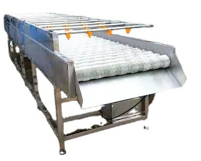 海蛎子毛刷清洗机 白萝卜平行毛辊清洗机 牡蛎毛辊清洗设备图5