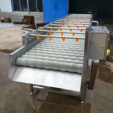 海蛎子毛刷清洗机 白萝卜平行毛辊清洗机 牡蛎毛辊清洗设备图4