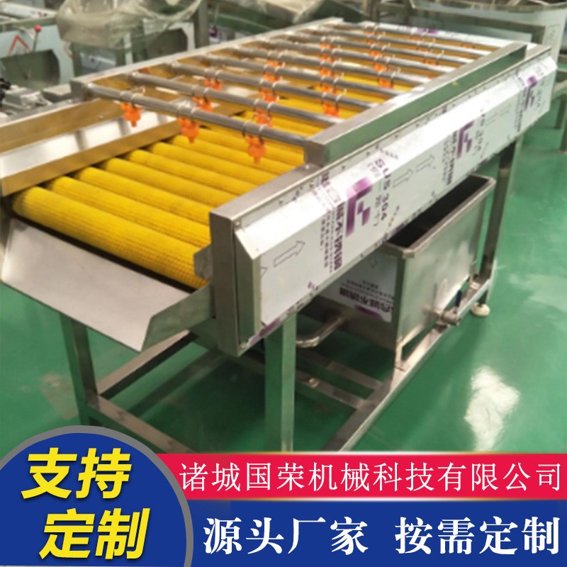 海蛎子毛刷清洗机 白萝卜平行毛辊清洗机 牡蛎毛辊清洗设备图3