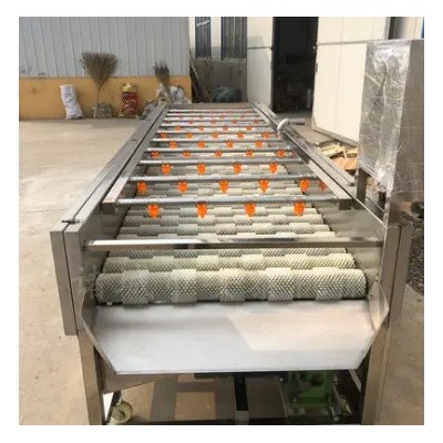 海蛎子毛刷清洗机 白萝卜平行毛辊清洗机 牡蛎毛辊清洗设备