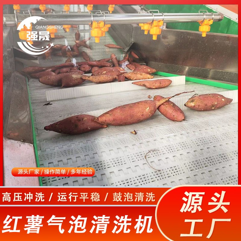 柠檬气泡清洗机 鼓泡式金桔芒果清洗去杂机 喷淋式百香果清洗机图4