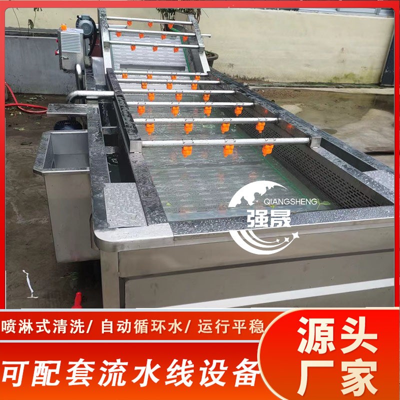 龙门提升式药材清洗机 喷淋式丹参天冬去泥沙机 商用天麻清洗机图4