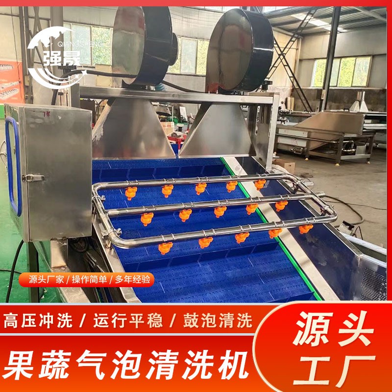 龙门提升式药材清洗机 喷淋式丹参天冬去泥沙机 商用天麻清洗机图3