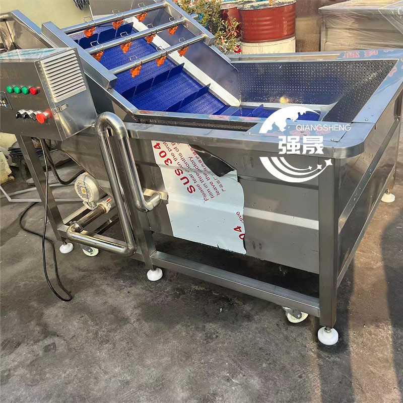 龙门提升式药材清洗机 喷淋式丹参天冬去泥沙机 商用天麻清洗机