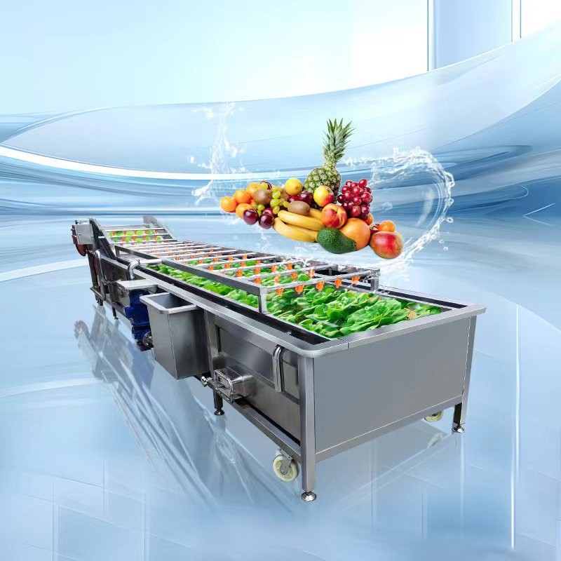 多功能全自动果蔬蔬菜清洗机气泡式喷淋豆角清洗机洗菜机设备厂家图2