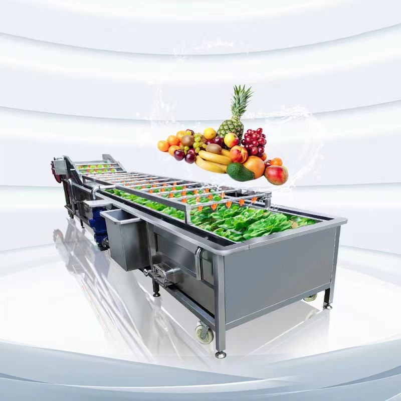 多功能全自动果蔬蔬菜清洗机气泡式喷淋豆角清洗机洗菜机设备厂家图3