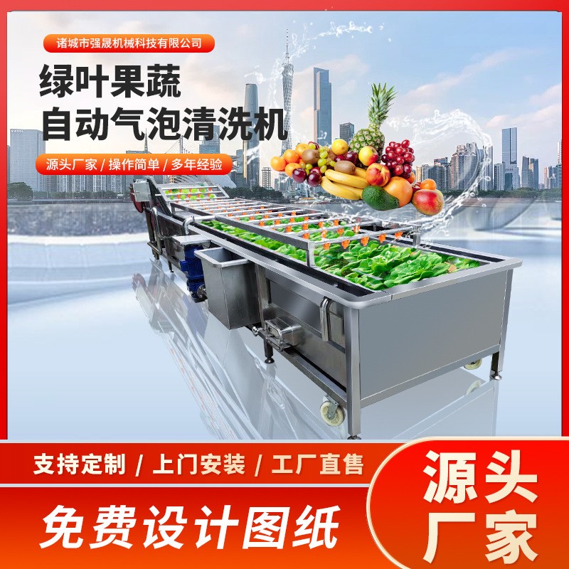 多功能全自动果蔬蔬菜清洗机气泡式喷淋豆角清洗机洗菜机设备厂家