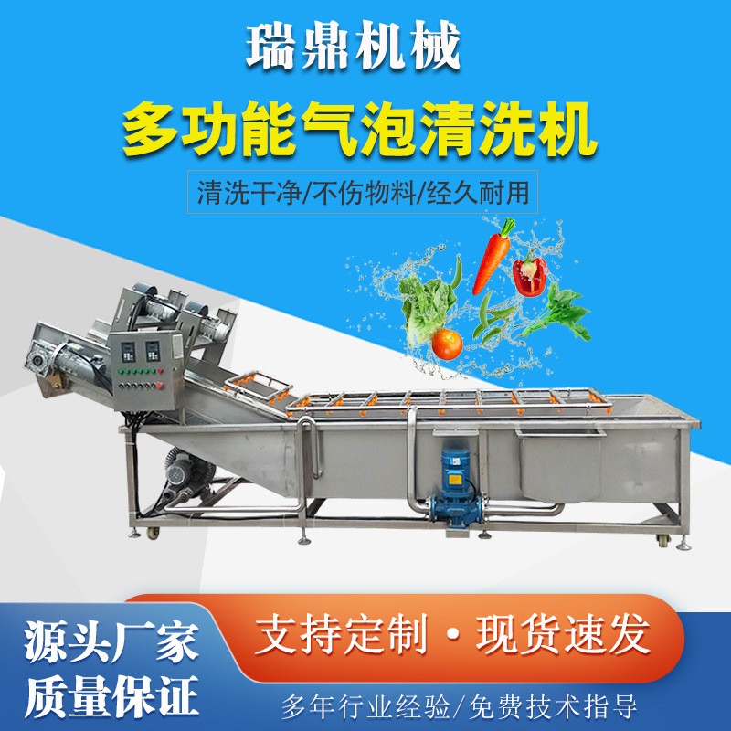 多功能洗菜机 高压喷淋气泡蔬菜清洗设备 全自动臭氧气泡清洗机图2