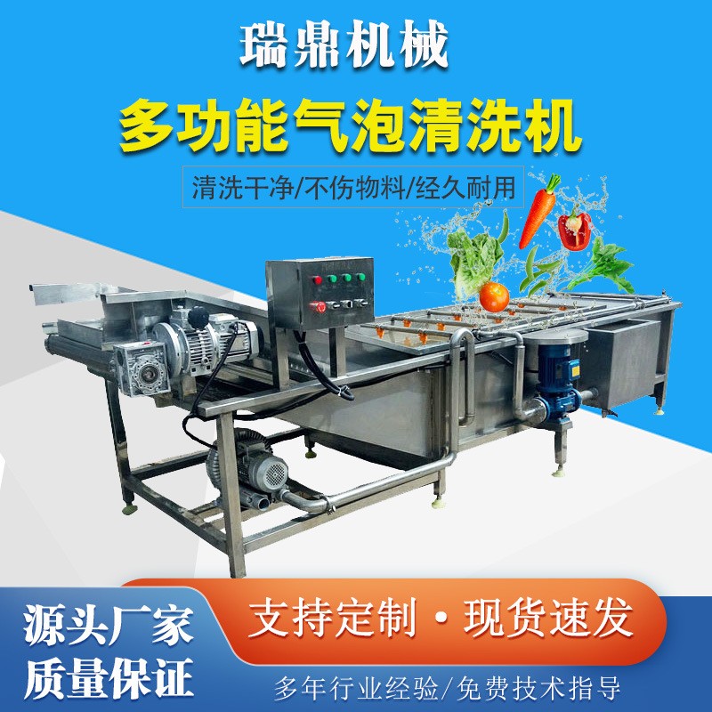 多功能洗菜机 高压喷淋气泡蔬菜清洗设备 全自动臭氧气泡清洗机图4